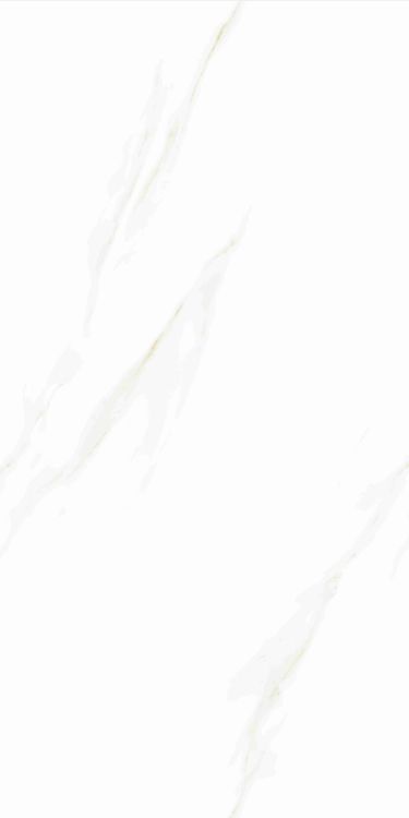 Time Cielo Matte 24 x 48